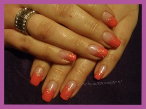 Nagelstudio Groningen Shellac